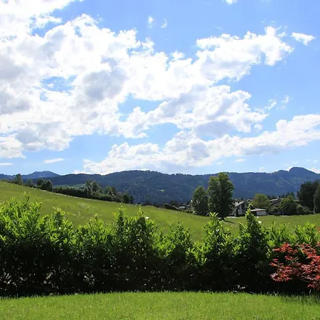 Untergrunholz *
